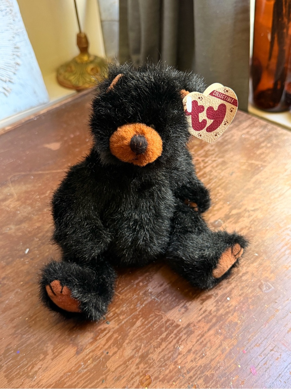 Ty Black Bear Plush with Brown Accents